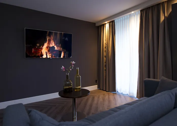 萨森海姆范德瓦尔克酒店 - 莱顿 萨森海姆