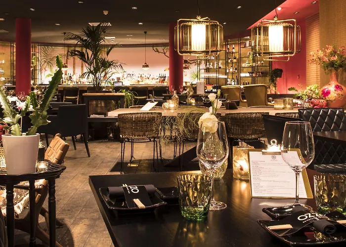 萨森海姆范德瓦尔克酒店 - 莱顿